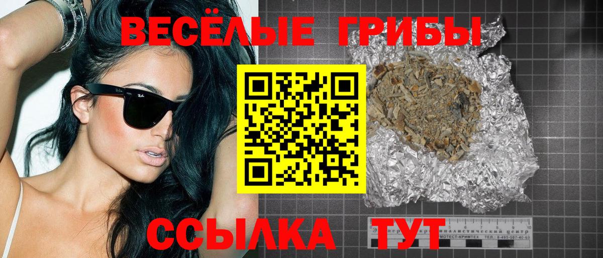 купить   Вход с VPN  Владимир  Галлюциногенные грибы прущие грибы 